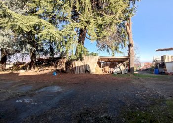 Stabile - Palazzo Via Roma, 26, Martiniana Po - foto 25