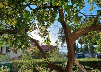 Quadrilocale Corso Guglielmo Marconi, Sanremo - foto 3