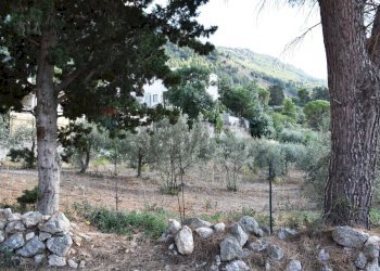 Vista delle montagne - Terreno edificabile Contrada Cozzo di Castro
 
snc, Altofonte - foto 6