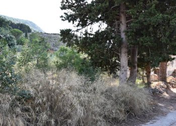 Vista delle montagne - Terreno edificabile Contrada Cozzo di Castro
 
snc, Altofonte - foto 7
