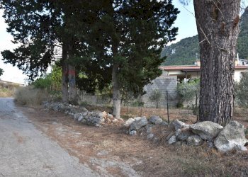 Giardino - Terreno edificabile Contrada Cozzo di Castro
 
snc, Altofonte - foto 9