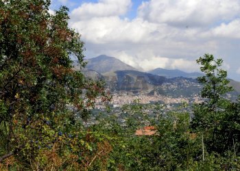Vista delle montagne - Terreno edificabile Contrada Cozzo di Castro
 
snc, Altofonte - foto 11