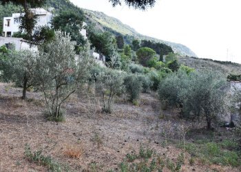 Vista delle montagne - Terreno edificabile Contrada Cozzo di Castro
 
snc, Altofonte - foto 12