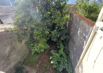 Giardino - Casa indipendente san crispino
 
1, Motta Camastra - foto 31