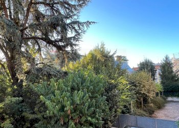 Giardino - Bilocale Reggio nell'Emilia - foto 15