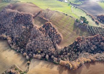 Foto 4 - Villa Località Cavallini, Manciano - foto 4