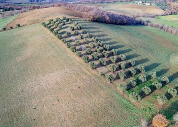 Foto 8 - Villa Località Cavallini, Manciano - foto 8