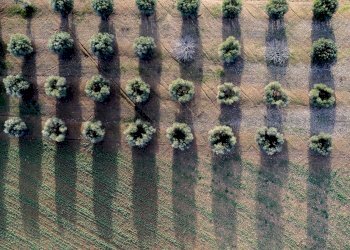 Foto 9 - Villa Località Cavallini, Manciano - foto 9