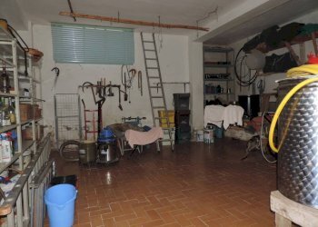 Cantina - Three-room apartment via Roma, 162, Fara in Sabina - photo 19