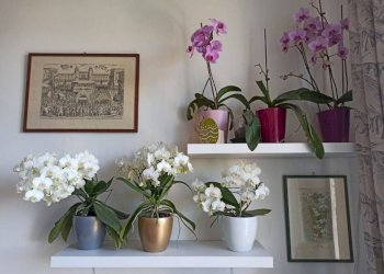 Altro - Bilocale Lungo Dora Napoli, 16, Torino (zona Aurora) - foto 11