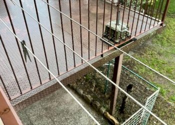 Rustico Pinerolo - foto 27