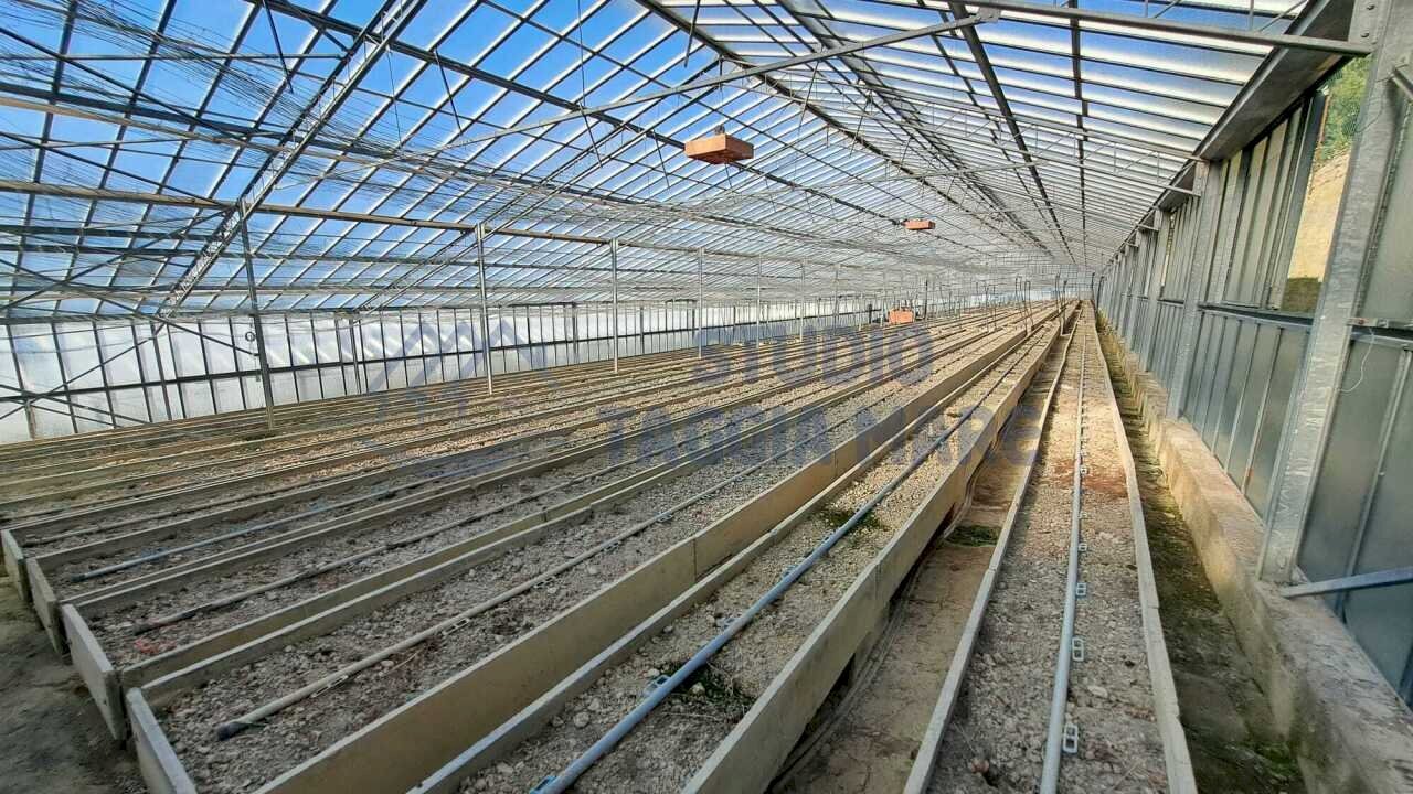 1.jpeg - Agricultural land Strada Del Colle 15, Sanremo - photo 1