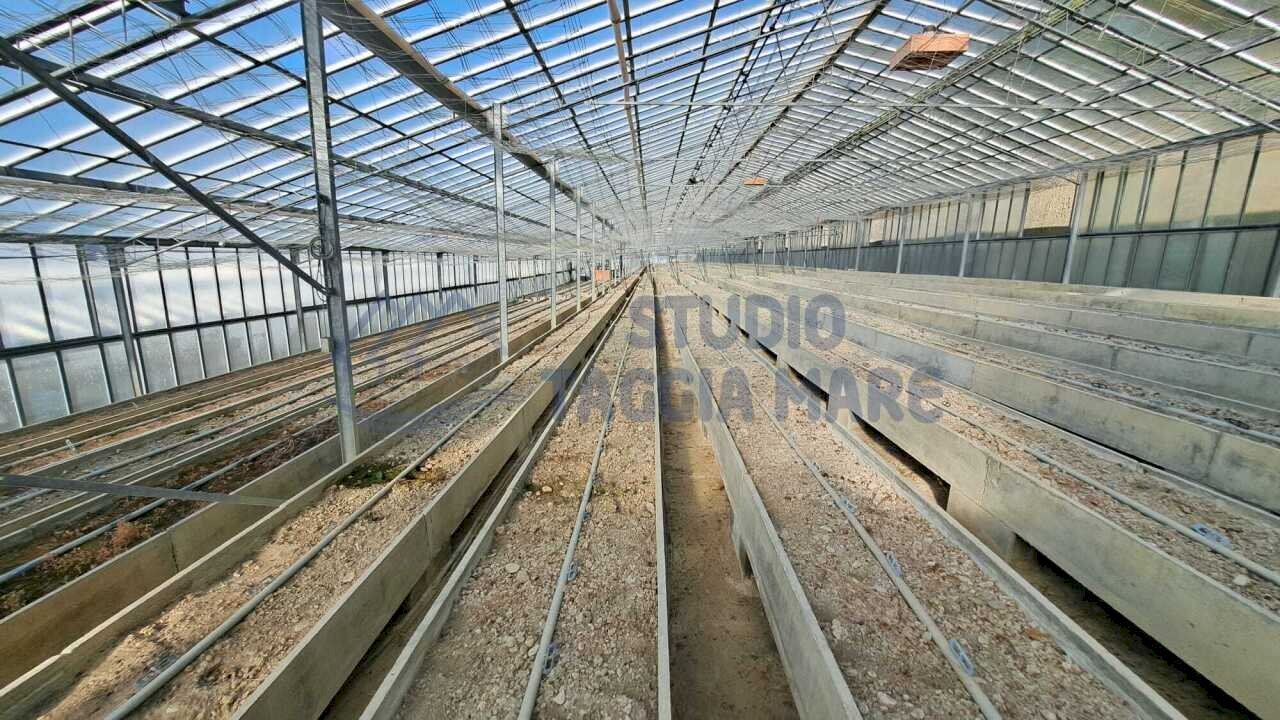 2.jpeg - Agricultural land Strada Del Colle 15, Sanremo - photo 2