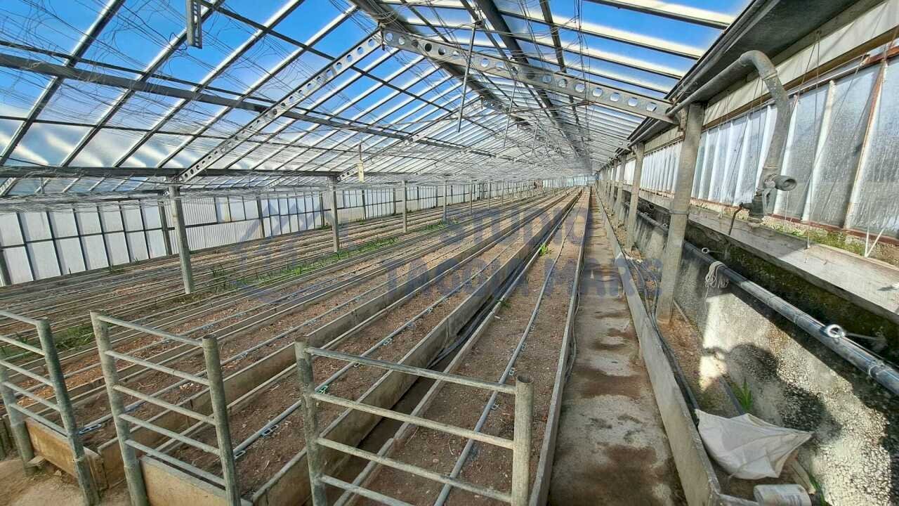 8.jpeg - Agricultural land Strada Del Colle 15, Sanremo - photo 3