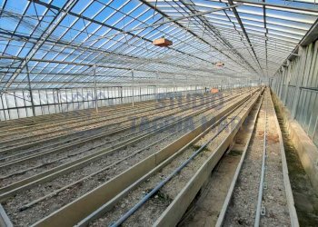 1.jpeg - Terreno agricolo Strada Del Colle 15, Sanremo - foto 1