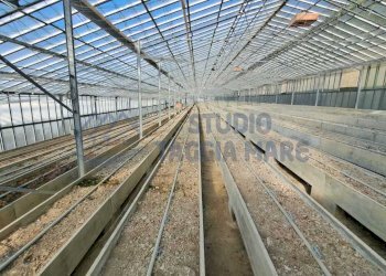 2.jpeg - Terreno agricolo Strada Del Colle 15, Sanremo - foto 2