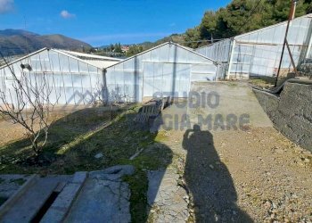 9.jpeg - Terreno agricolo Strada Del Colle 15, Sanremo - foto 4