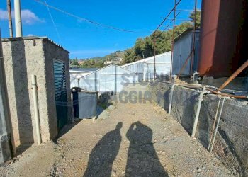 10.jpeg - Terreno agricolo Strada Del Colle 15, Sanremo - foto 5