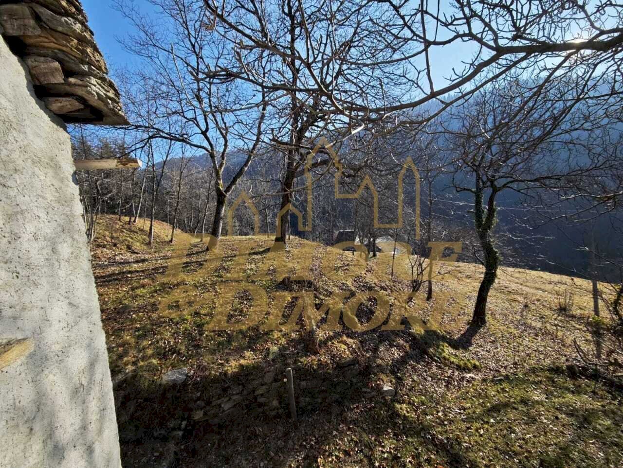 Terreno 2.jpeg - Rustico Via Colonnello Giuseppe Garbagni 92, Craveggia - foto 2