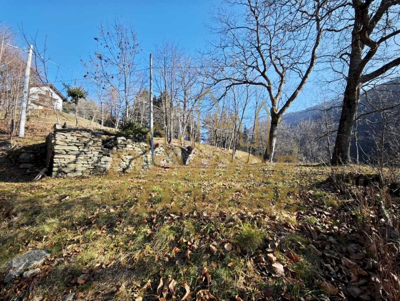 Terreno.jpeg - Rustico Via Colonnello Giuseppe Garbagni 92, Craveggia - foto 3