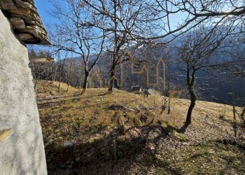 Terreno 2.jpeg - Rustico Via Colonnello Giuseppe Garbagni 92, Craveggia - foto 2