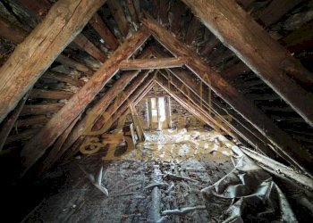 Tetto.jpeg - Rustico Via Colonnello Giuseppe Garbagni 92, Craveggia - foto 12