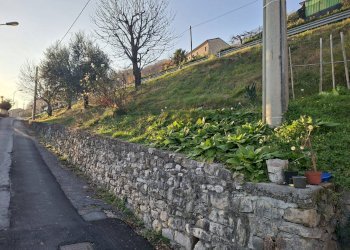 Giardino - Rustic Via Breda
 
9 e 11, Fregona - photo 8