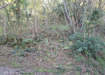 Giardino - Rustic Via Breda
 
9 e 11, Fregona - photo 18