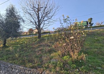 Giardino - Rustic Via Breda
 
9 e 11, Fregona - photo 41