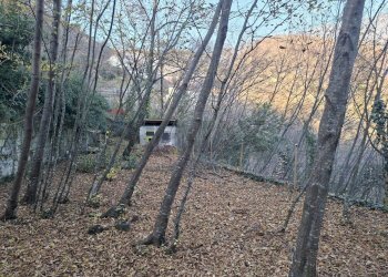 Non correlato - Rustic Via Breda
 
11, Fregona - photo 18