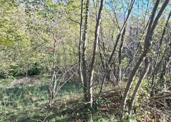 Giardino - Rustic Via Breda
 
11, Fregona - photo 41