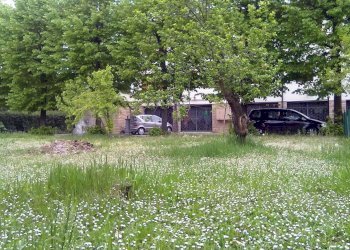 Villa Castelnuovo Rangone - foto 9