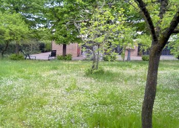 Villa Castelnuovo Rangone - foto 11