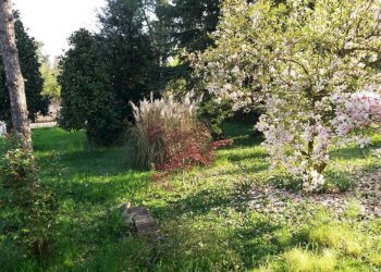 Villa Castelnuovo Rangone - foto 12