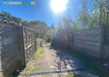 Foto 5 - Capannone STRADA DELLE LAME
 
25, Palombara Sabina - foto 5