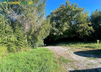 Foto 10 - Capannone STRADA DELLE LAME
 
25, Palombara Sabina - foto 10