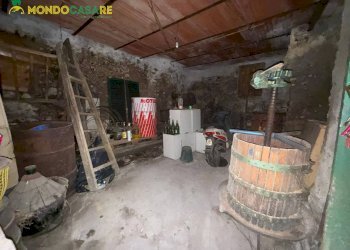 Foto 1 - Magazzino Palombara Sabina - foto 1