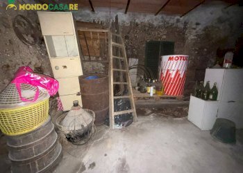 Foto 3 - Magazzino Palombara Sabina - foto 3