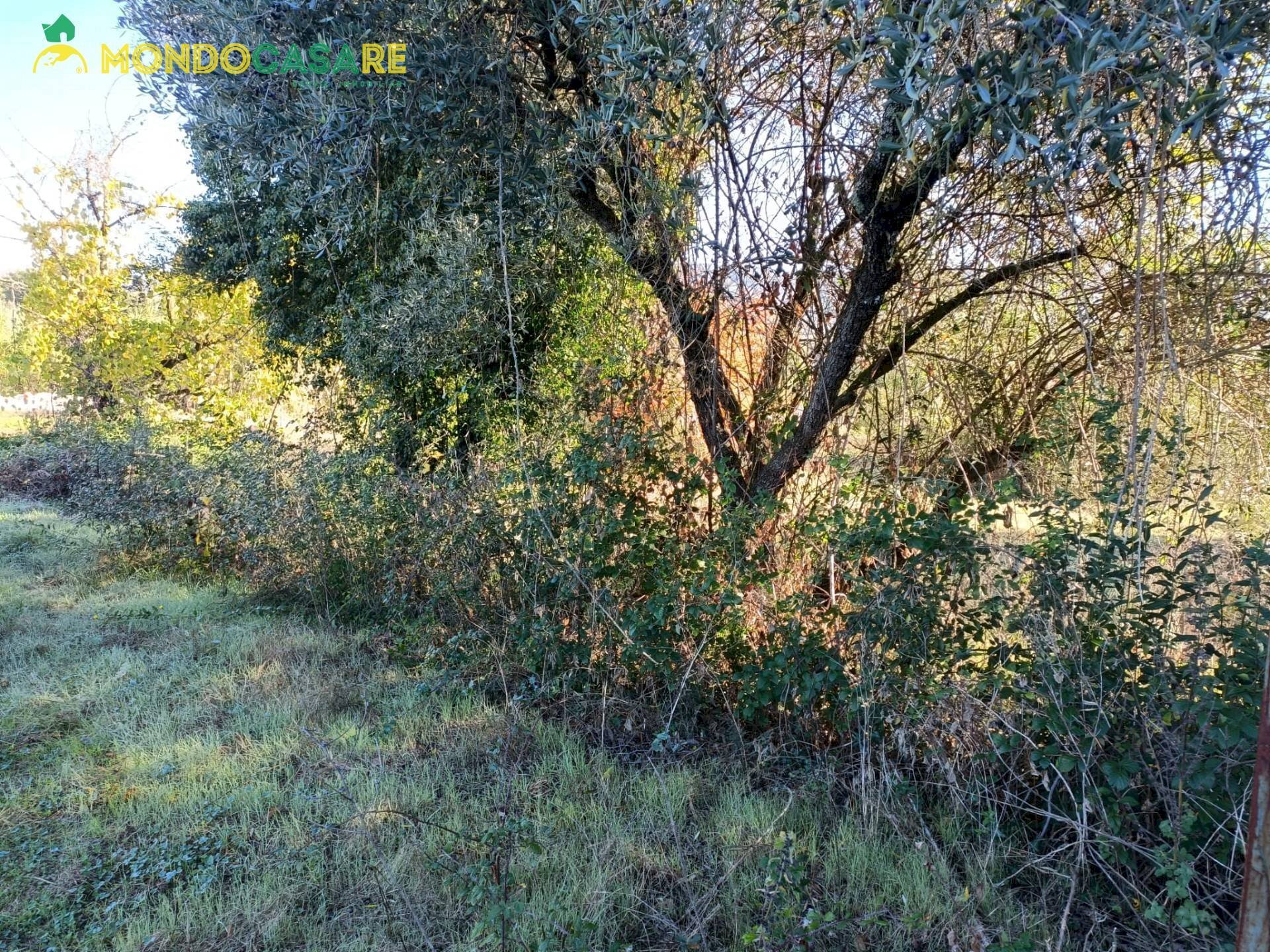 Foto 2 - Terreno agricolo Palombara Sabina - foto 2