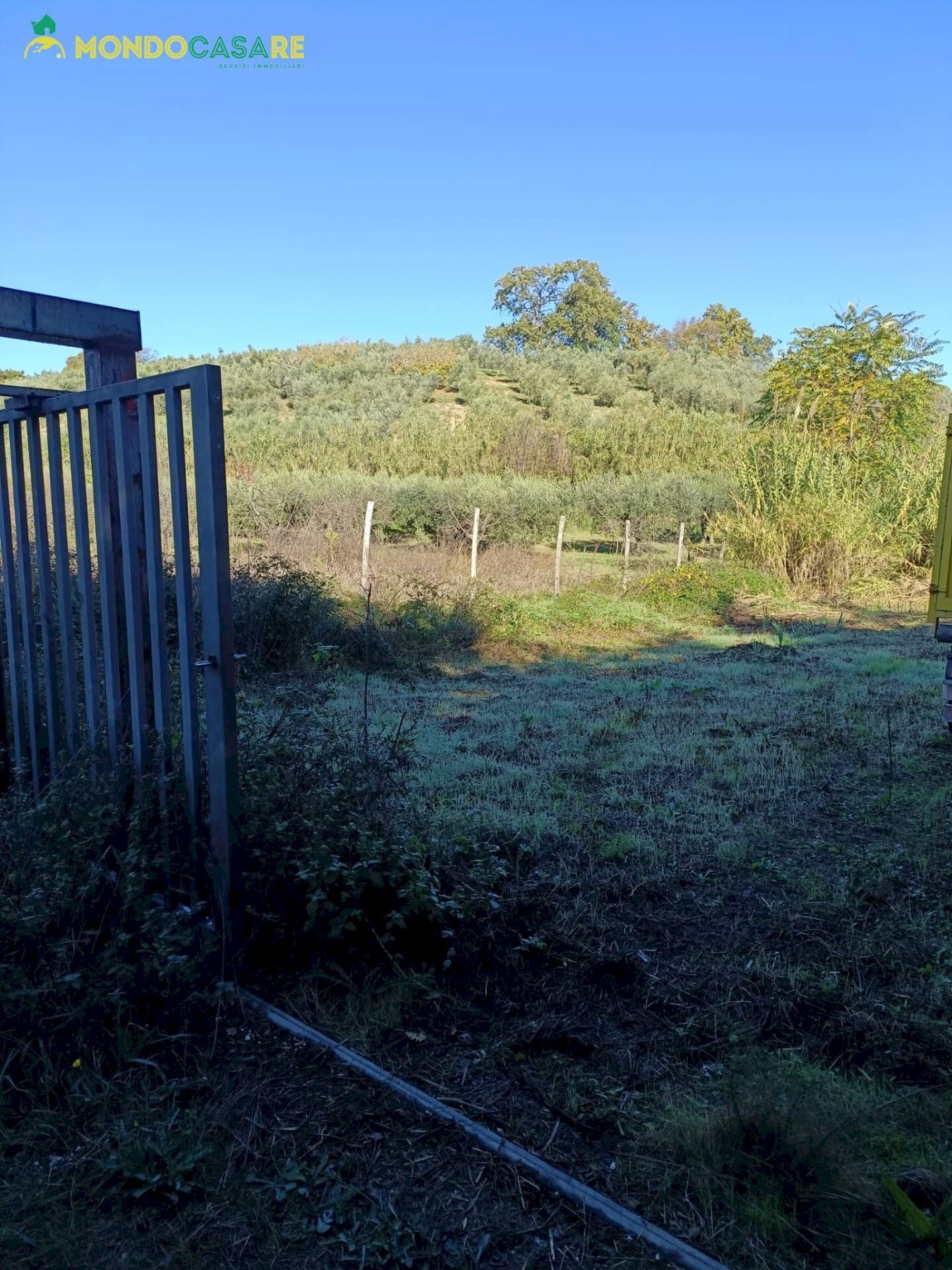 Foto 3 - Terreno agricolo Palombara Sabina - foto 3