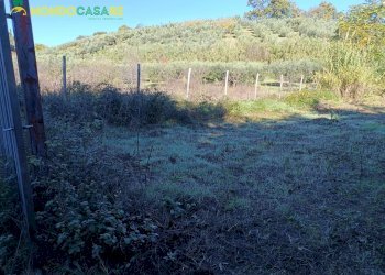 Foto 1 - Terreno agricolo Palombara Sabina - foto 1