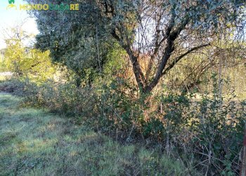 Foto 2 - Terreno agricolo Palombara Sabina - foto 2