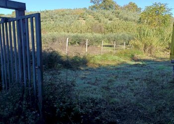 Foto 3 - Terreno agricolo Palombara Sabina - foto 3