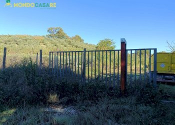 Foto 4 - Terreno agricolo Palombara Sabina - foto 4