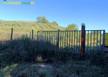 Foto 6 - Terreno agricolo Palombara Sabina - foto 6