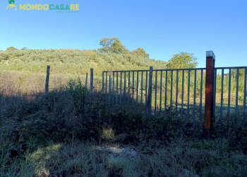 Foto 8 - Terreno agricolo Palombara Sabina - foto 8