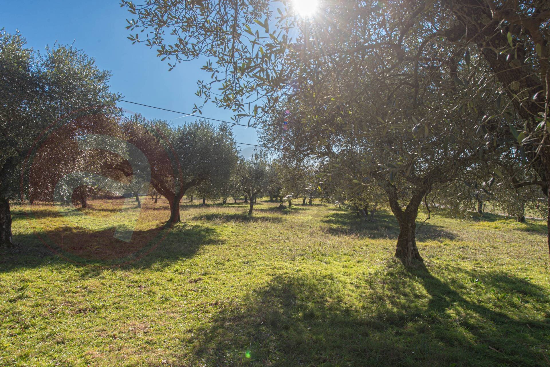 Foto 2 - Rustico Contrada Scimitelli
 
snc, Veroli - foto 2