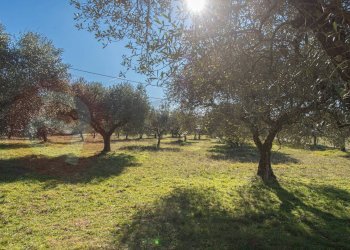 Foto 2 - Rustico Contrada Scimitelli
 
snc, Veroli - foto 2