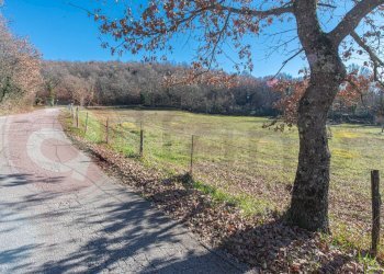 Foto 21 - Rustico Contrada Scimitelli
 
snc, Veroli - foto 21