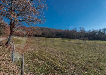 Foto 26 - Rustico Contrada Scimitelli
 
snc, Veroli - foto 26